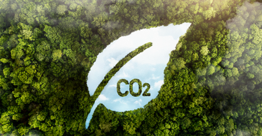 What's the Carbon Footprint of Your Towel?