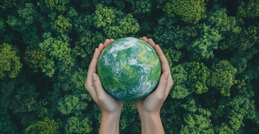 What Is World Sustainability Day?