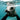 Marine life - protecting our oceans