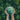 What Is World Sustainability Day?